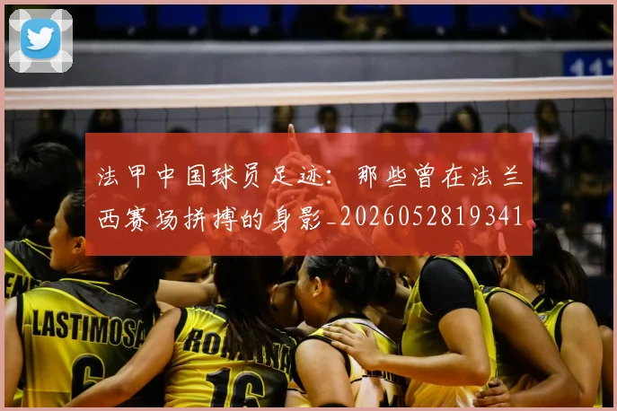 法甲中国球员足迹：那些曾在法兰西赛场拼搏的身影_20260528193418
